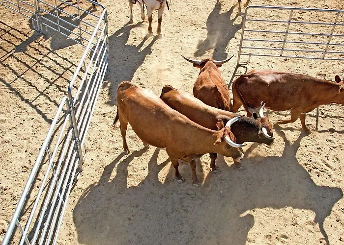 Rancho De Caballeros Resort